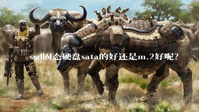 ssd固态硬盘sata的好还是m.2好呢？